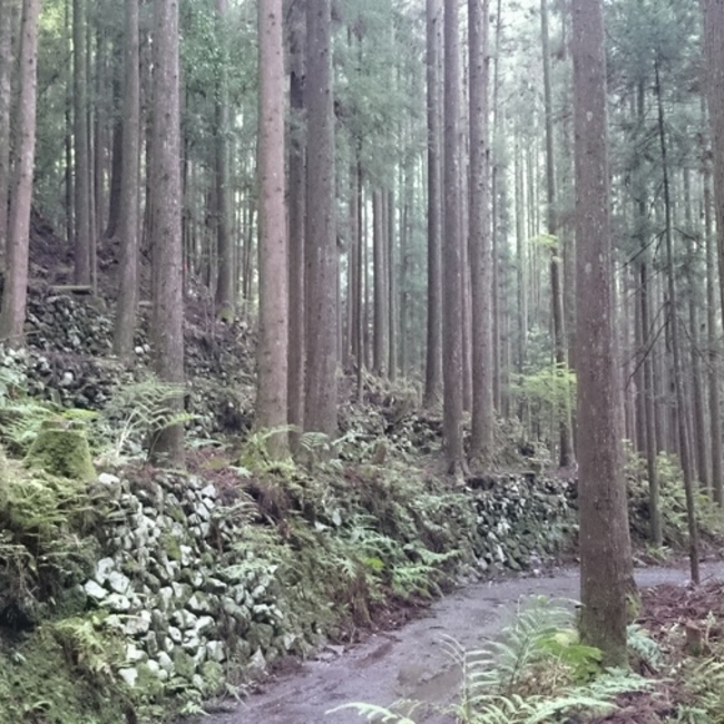 kjマサキのカバー写真