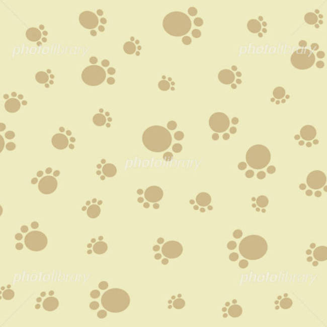 チャオ＆モモのカバー写真