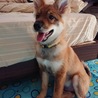 こんなに大きくなったよ。