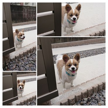 見っけ