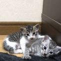 6月16日生まれ女の子☆