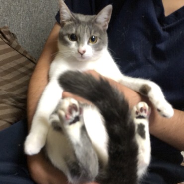 パパの腕の中でご満悦な若葉ちゃん(๑>◡<๑)