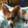上目遣いがお上手で。