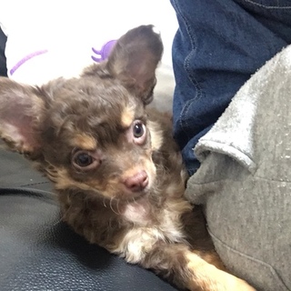 飼う気のある方のみお願いします。