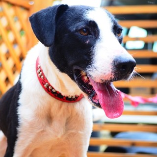 宮古島のフネです