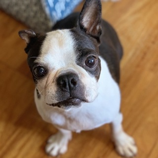 良いご縁に繋がりました。