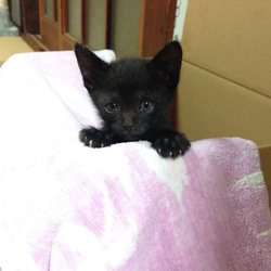 「すくすく成長中」サムネイル1