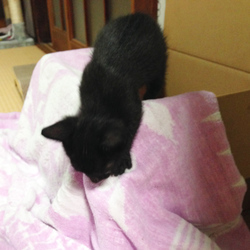 「すくすく成長中」サムネイル2