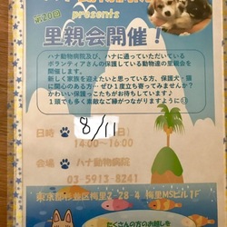 ハナ動物病院 里親会