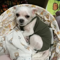 そら