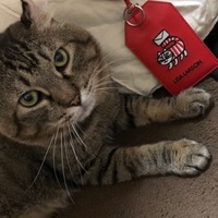 おしょまる