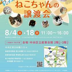 ねこざんまい譲渡会@東日本橋