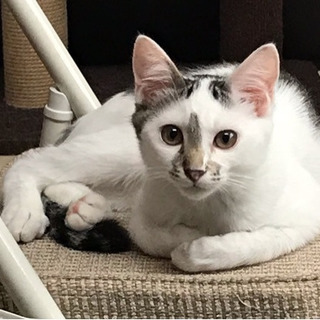 天然ですか？キムくん。