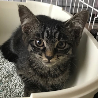 いっぱい抱っこして下さい。 タラコより