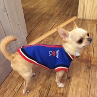 小太朗
