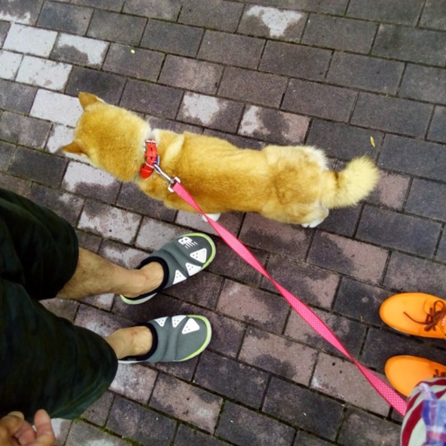 れぼんのカバー写真