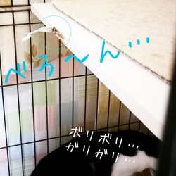 「買ったばっかなのに…」サムネイル2