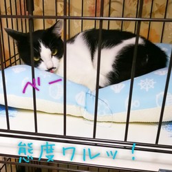 「買ったばっかなのに…」サムネイル3