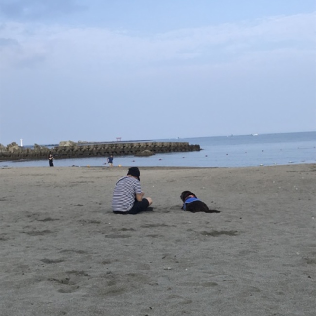 ジェットストリームのカバー写真