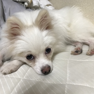 拗ねてます。