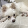 拗ねてます。