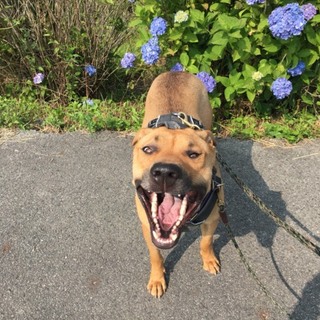 見た目と中身のギャップが可愛すぎるバース❤︎