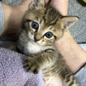 元気いっぱいの男の子です。