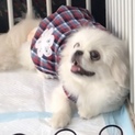 幸せ探し…