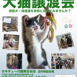 セキチュー川越南古谷店犬猫里親会
