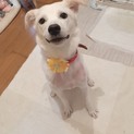 8ヶ月くらいの女の子です