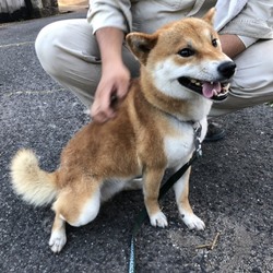 保護生活スタート