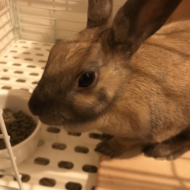おっきくなりました☺️