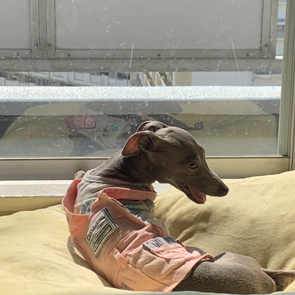 茶華のカバー写真