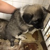 引き出されました。 サムネイル3