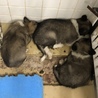 引き出されました。 サムネイル7