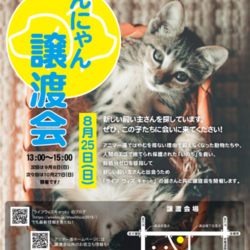 犬猫アニマー湯譲渡会