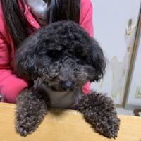 りきゅ