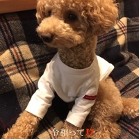 ハル