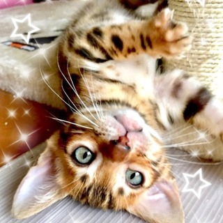 管理番号︰OSー750