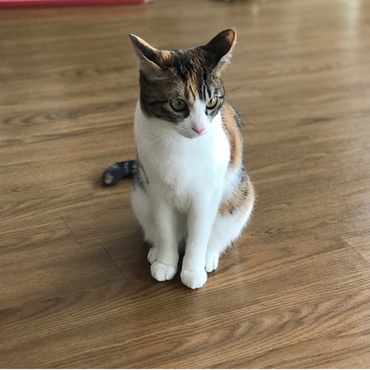 あんちゃんの写真