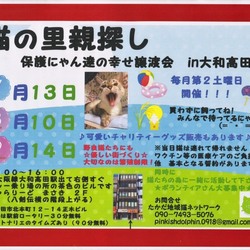 保護にゃん達の幸せ譲渡会I in大和高田市