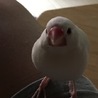 たまじょ さん