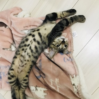 4兄弟＊甘えん坊な日翔