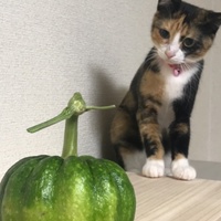 小町