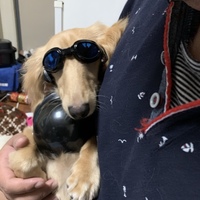 彦