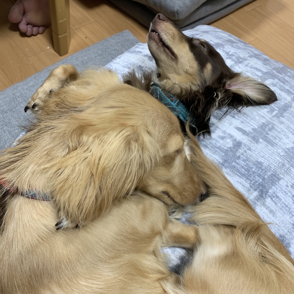 彦のカバー写真