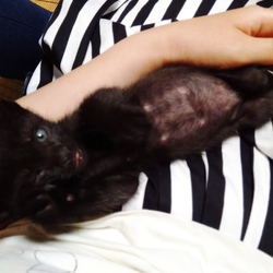 「もう赤ちゃんではない」サムネイル1