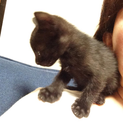 「もう赤ちゃんではない」サムネイル2