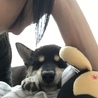 腕枕⁈