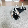 あーーー